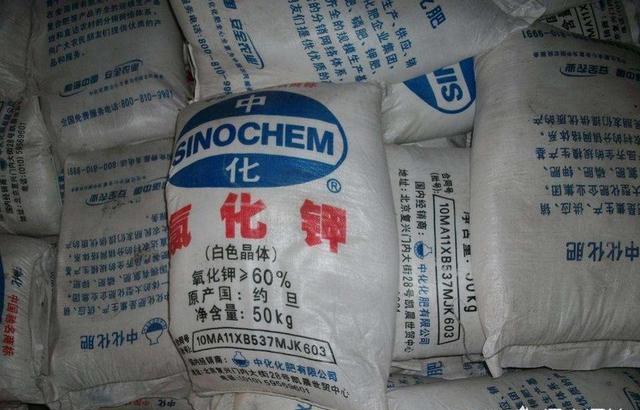 什么肥料膨大最快？