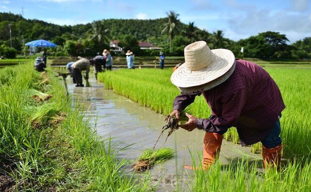 土地确权后，农村户口没地的农民，国家怎么补助？