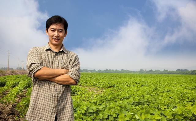 土地确权后，农村户口没地的农民，国家怎么补助？