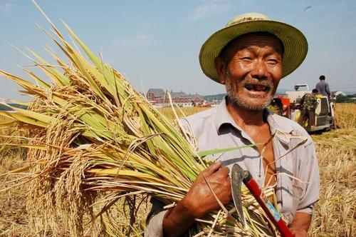 中国没有农民和农民工会成什么样？