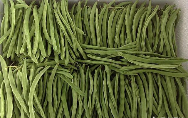 温室菜豆落花、落荚的原因及其防治措施有哪些？