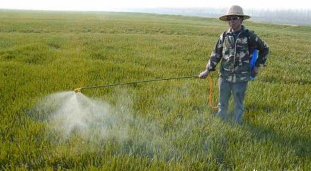 农作物发生除草剂药害有哪些解救措施？