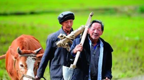 你们觉得在农村，生女儿幸福，还是生儿子幸福？