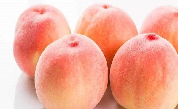 桃子生蛆要用什么药 桃子的病虫害防治方法