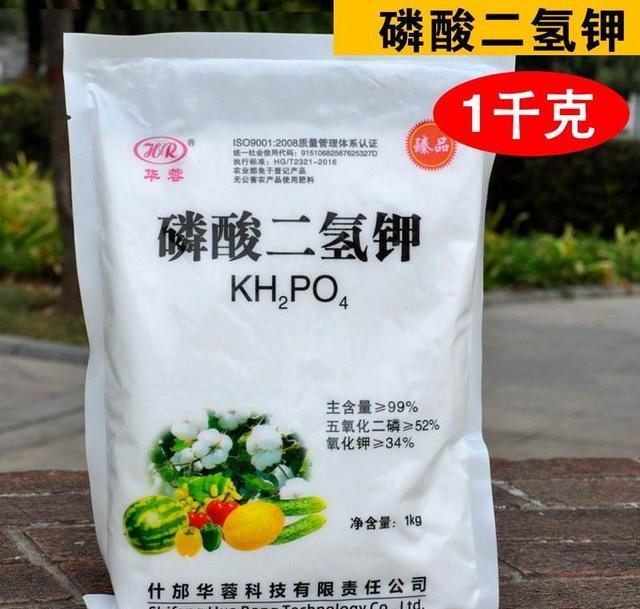 磷酸二氢钾在柑橘上用会厚皮吗？