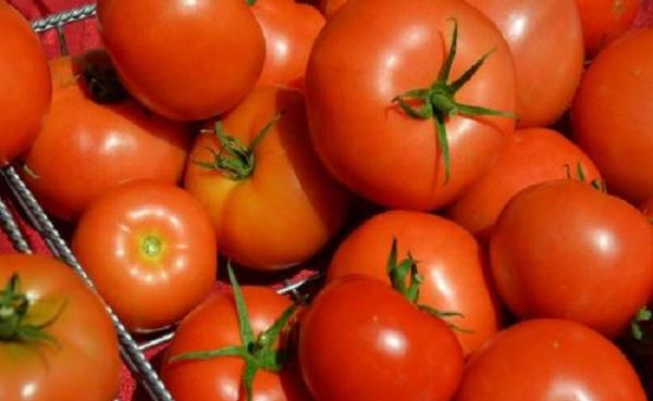 西红柿有多少品种 晚上吃西红柿会胖吗