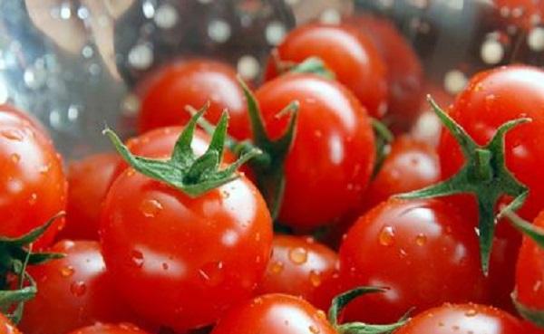 西红柿有多少品种 晚上吃西红柿会胖吗
