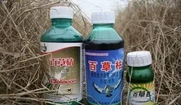 农药百草枯为什么不让用了啊？