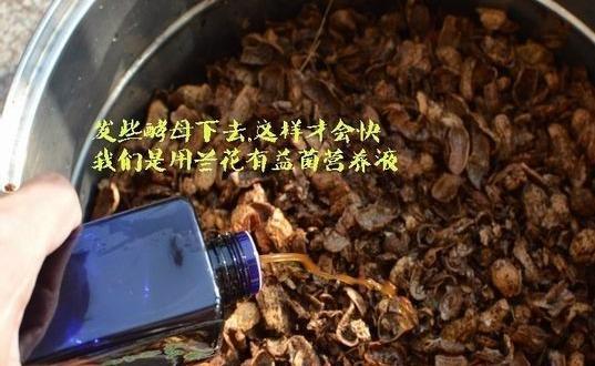 怎么发酵花生壳？