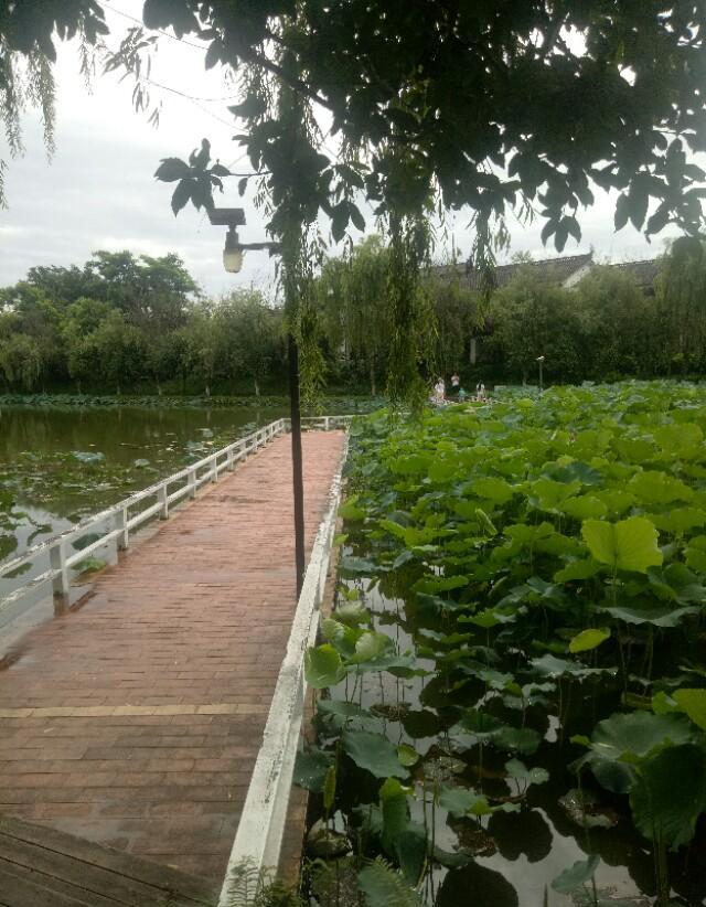 一段时间以来在农村利用土地搞民宿和乡村旅游为啥都不是很成功？谁有好的办法吗？