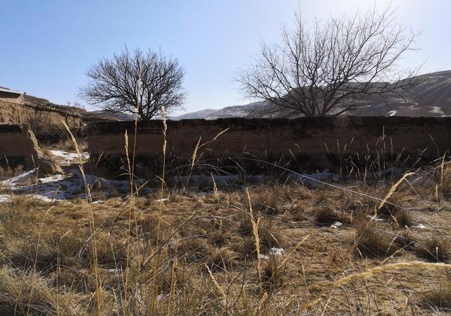 有些地方大片农田耕地丢荒，它的反面是什么，说明了什么问题呢？