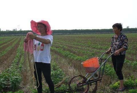 在农村，过去婆媳闹矛盾比较多，现在婆媳吵架的较少，你怎么看？