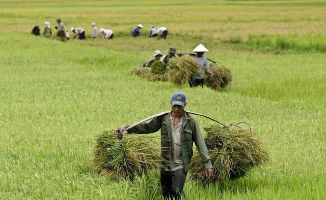 取消农业户口，农民是不是和城市人一样了，为什么？