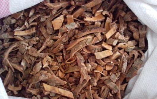 土荆皮有什么功效和副作用