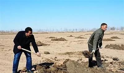 水稻施基肥的正确方法是什么？
