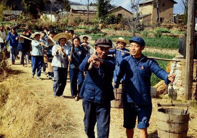 农村单干、家庭农庄、股份制合作社、集体生产队，哪个好？