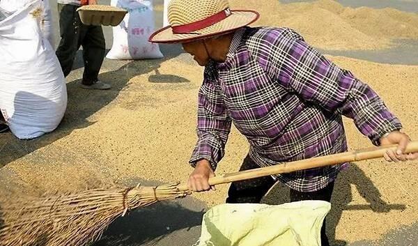 农村单干、家庭农庄、股份制合作社、集体生产队，哪个好？