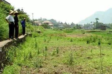 怎样才能让农民工愿意回乡去种被荒废的土地？