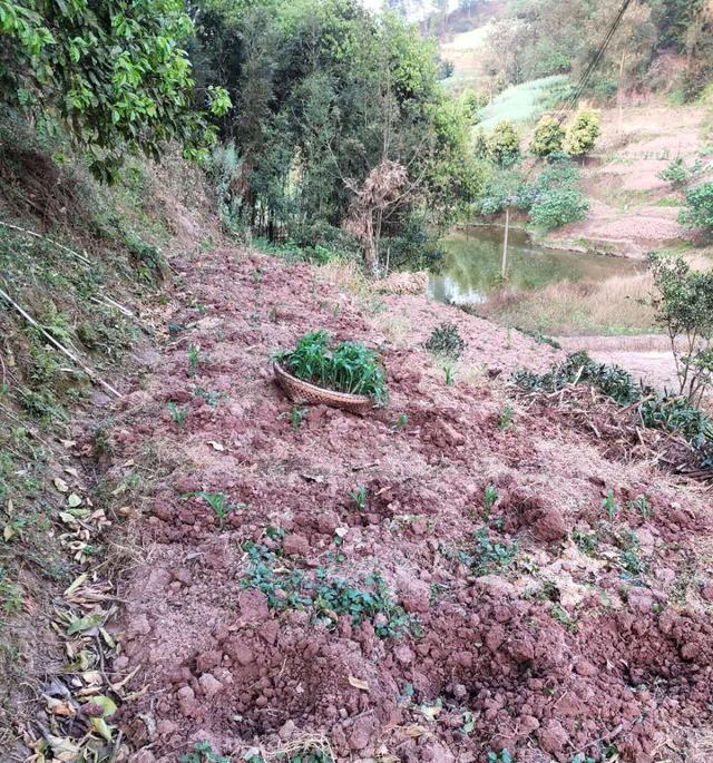 怎样才能让农民工愿意回乡去种被荒废的土地？