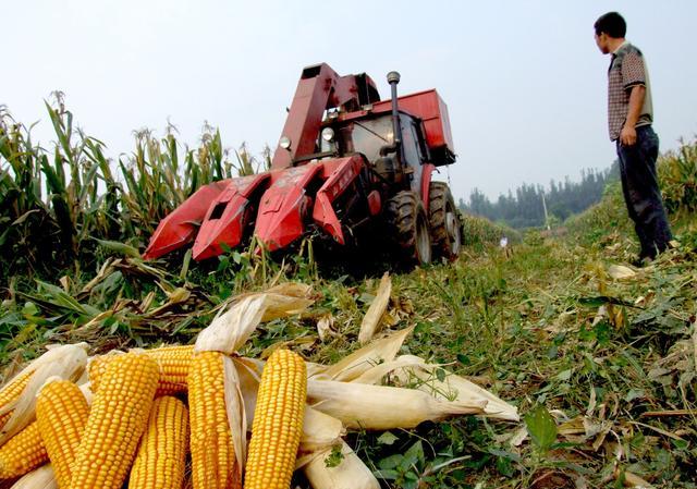 未来中国，如果粮食价格越来越低，庄稼人究竟该何去何从？