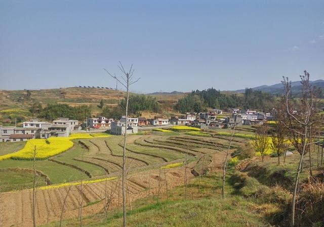 镇里要把我们全村的土地统一流转给大户，每亩一千元，合适吗？