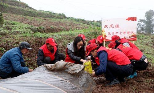 做化肥、农药种子县级代理经销商的生意可做吗？