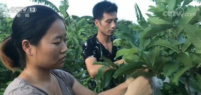 年纪轻轻回农村生活，会带来什么样的负面影响，需要顾虑些什么？