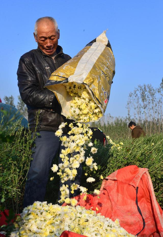 怎么样能让农民回归土地？