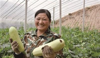怎么样能让农民回归土地？