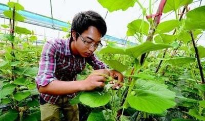 怎么样能让农民回归土地？