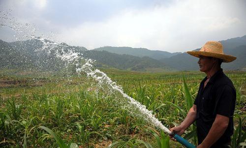 施化肥究竟是雨前，还是雨后好？