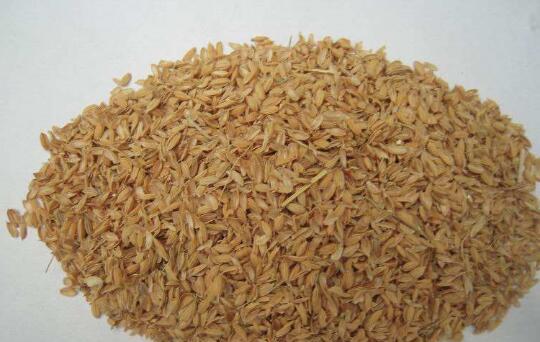 米糠的功效 稻壳和米糠的不同之处