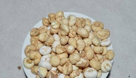 藏贝母的功效与作用及禁忌