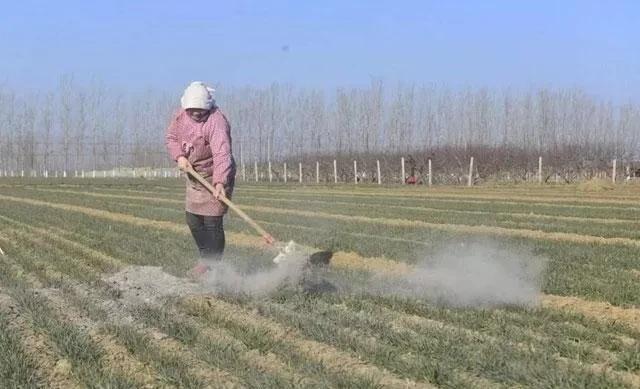 草木灰兑水喷施在作物上面有什么好处？