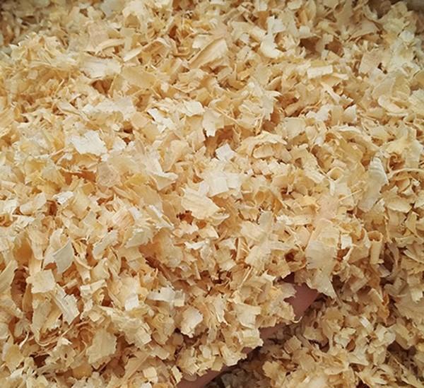冬天花盆里用锯末当肥料行吗？为什么？