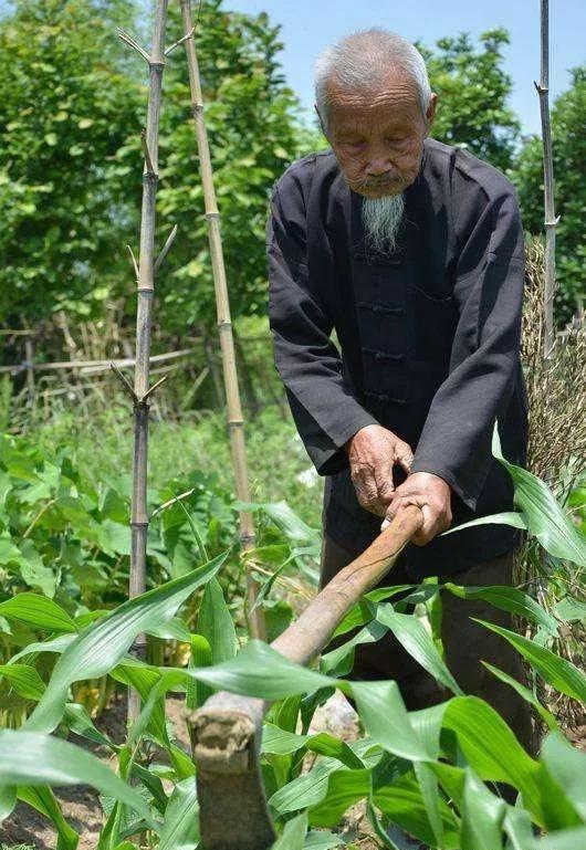 “七十三，八十四，阎王不叫自己去”，这句俗语真有那么玄乎吗？