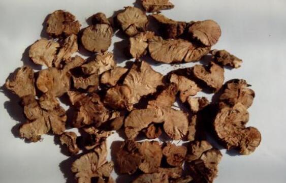 金荞麦胶囊的功效与作用及禁忌