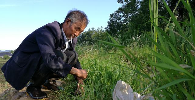 回农村去，包点地，最少十亩，无死角安装摄像头，不打药，不施肥，销量会怎么样？