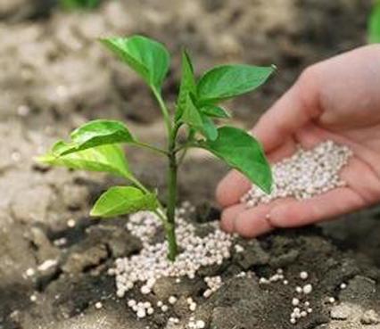 现在肥料持续涨价，农村种田种地成本高，你怎么看法？