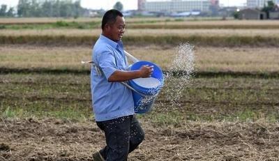现在肥料持续涨价，农村种田种地成本高，你怎么看法？