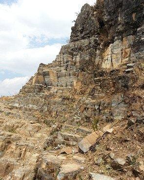 2022年我国肥料市场行情将会是怎样？