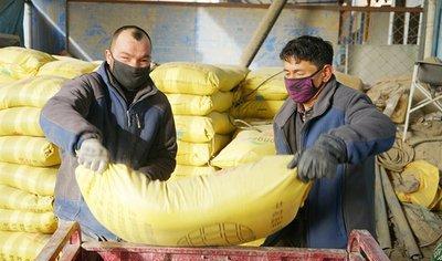 我是个农民,就想问问专家今年化肥涨那么多合理吗?