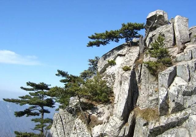 在今日头条，你最深的感触是什么？