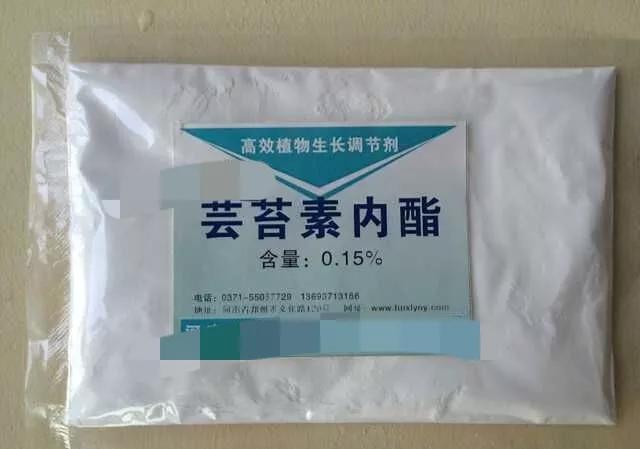 玉米喷施芸苔素能增产吗？如果能增产，在哪个阶段喷施最好？