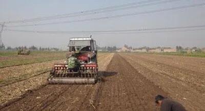 小麦播种深度标准是多少，怎样有效避免播种过深？