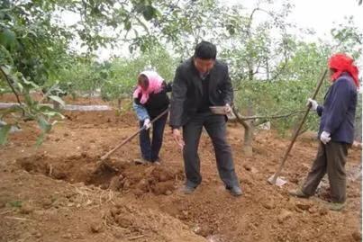 尿素撒地里只下一点雨湿地皮会挥发吗？