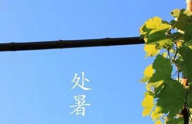 今日处暑普降雨水，农村老人说“处暑下雨万人愁”，有什么讲究？