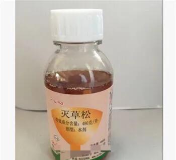 水稻田合萌用谷欢能除吗？