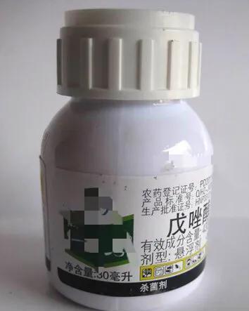 杀菌剂有什么使用禁忌?如何防止药害的发生?