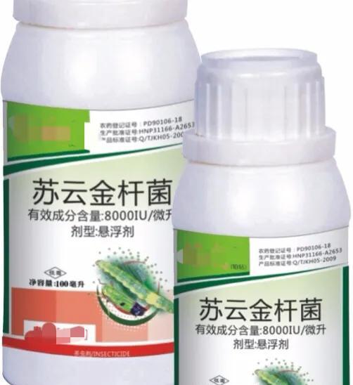 种植大豆什么时候打杀虫药好?